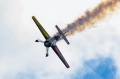 Sukhoi Su-31